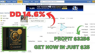 Gold Scalping AI EA Review – Can It Really Beat the Market