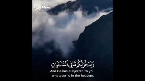 عساف العواجي || سورة الجاثية