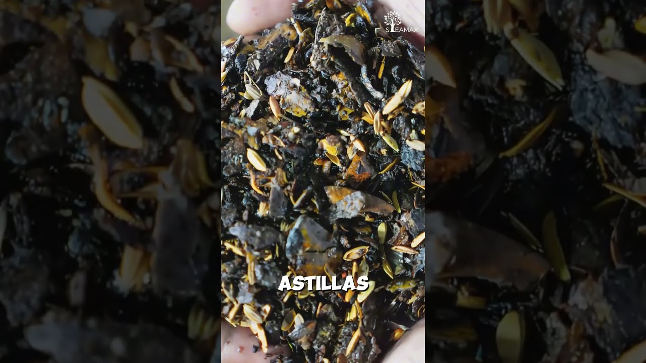 switch to biomass without buying a new boiler