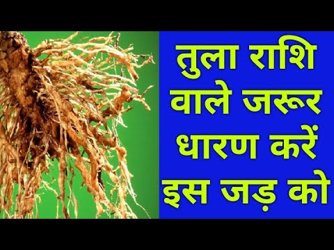 वीडियो: तुला के लिए कैसे निकलें