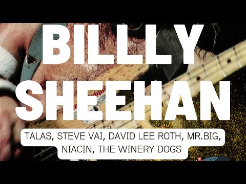 Billy sheehan live q&a