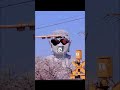 #錯覚 #雑学 #都市伝説