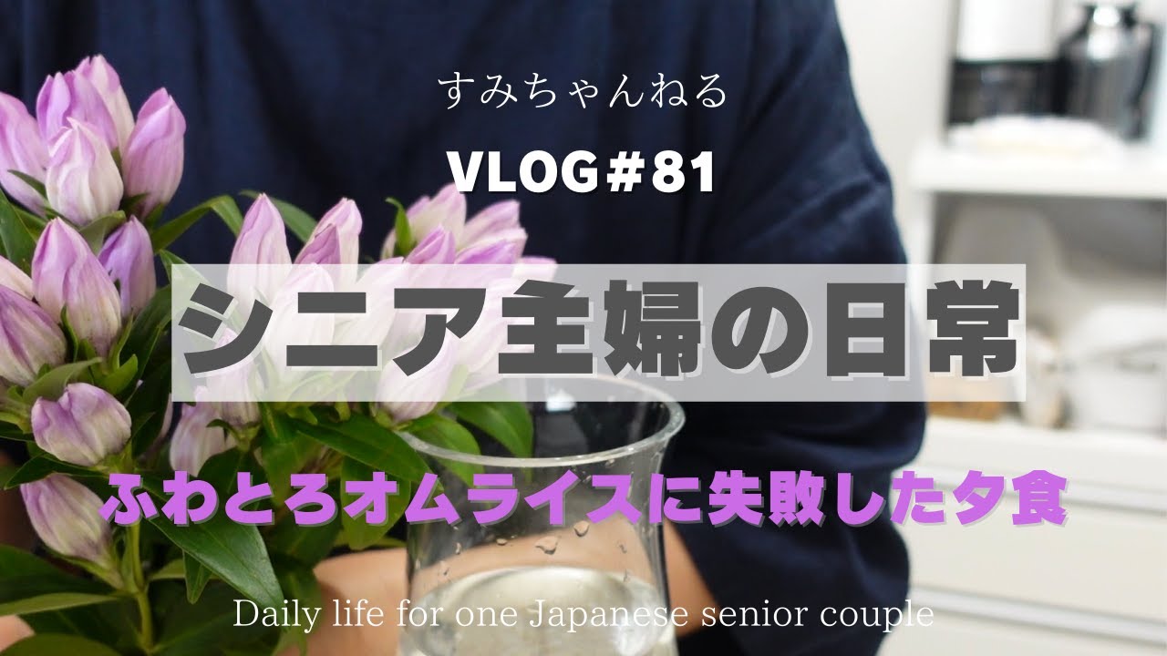 【シニアVLOG#81】秋晴れの下のさつま芋堀り／ふわとろオムライス失敗する／コーギーのいる風景／Daily life for one Japanese senior couple