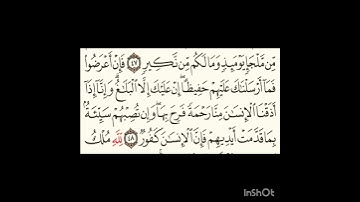 سورة الشورى آية٤٨ #سورةالفاتحة #اكسبلور #المصحف #سورةالكوثر #لايك #الرحمن #سورةالاخلاص #ترند