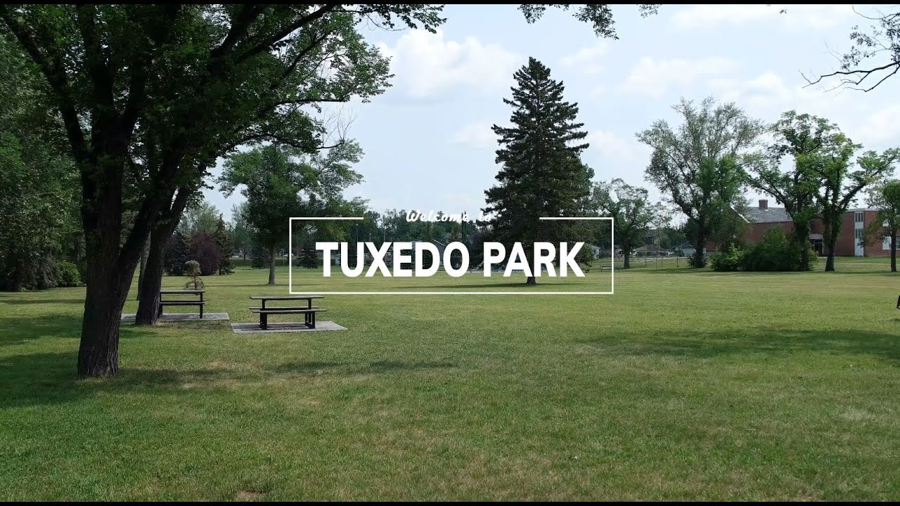 People, Places and Things to do in Tuxedo Park Calgary YouTube