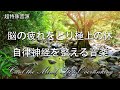 脳の疲れをとり極上の休息へ 疲労回復や自律神経を整える音楽　α波リラックス効果抜群 【超特殊音源】ストレス軽減 ヒーリング 睡眠 集中力アップ アンチエイジング 瞑想 休息に