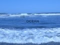 Ocean Surf Video