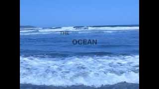 Ocean Surf Video