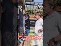 釣りよかメンバーは無事です #shorts #佐賀よかでしょう #釣りよかでしょう