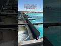 New Wavepool in AZ creates perfect waves for Surfers 🤯 #wavepool #surfing #arizona