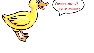 Утиная Жизнь охота за сокровищами