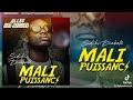 Sidiki diabat  mali puissanci  audio officiel 2024 