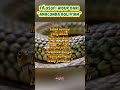 Filosofi Hidup dr Bolivian Anaconda #SelaluIngatAlloh #EdukasiMotivasi #FaktaHewan #Animals #viral