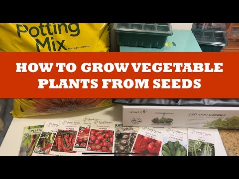 How to Grow Vegetable Plants from Seeds