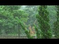 The most soothing rainfall mild thunder rainsounds asmr beatinsomnia