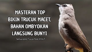 Download Lagu Trucukan GACOR ngalas ROPEL PANJANG suara alam AMPUH buat pancingan jadikan trucuk Gacor GARUDA MP3