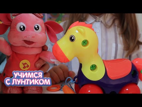 Видео: Учимся с Лунтиком | Семейные серии | Сборник мультиков для детей