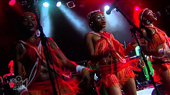 Femi Kuti - Untitled 3 (Live in Sydney) | Moshcam