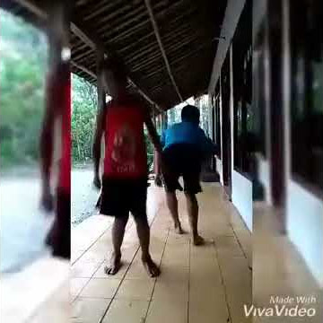 story wa Wong edan kuwi bebas