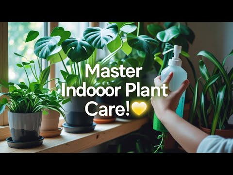 Mastering Indoor Plant