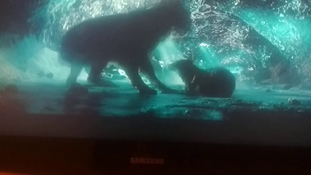 Альфа - YouTube