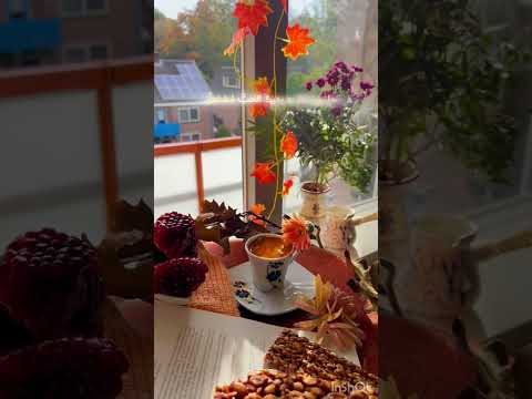 عاد الشتاء و دمعاتي طفت شهب ا