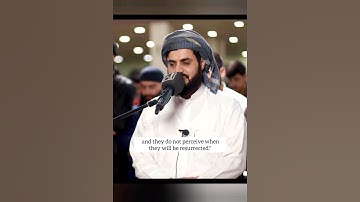 تلاوة خالية من سورة النمل بصوت رعد الكردي | Surah An-Naml #raadalkurdy