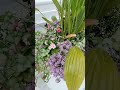 entrance arrangement tip #houseplant #plants #outdoorplant #shorts #fyp
