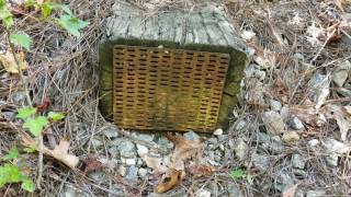 A Little Bit About Railroad Ties