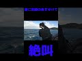 釣りたかった魚がかかって大海原で絶叫する！ #釣り #釣りガール #love #jackall #japan #youtubeshorts #youtube #youtubeshort