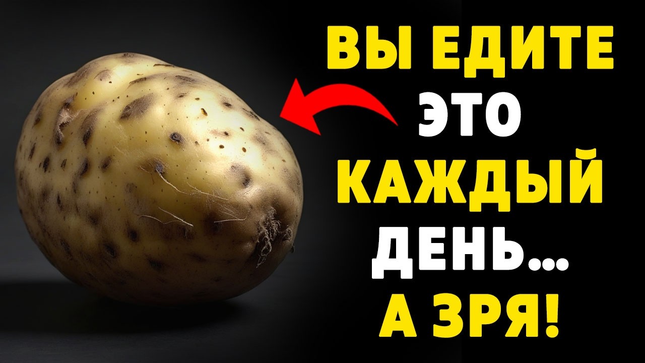 Эти Овощи Нельзя Есть Сырыми: 5 Продуктов, Которые Вас Удивят!