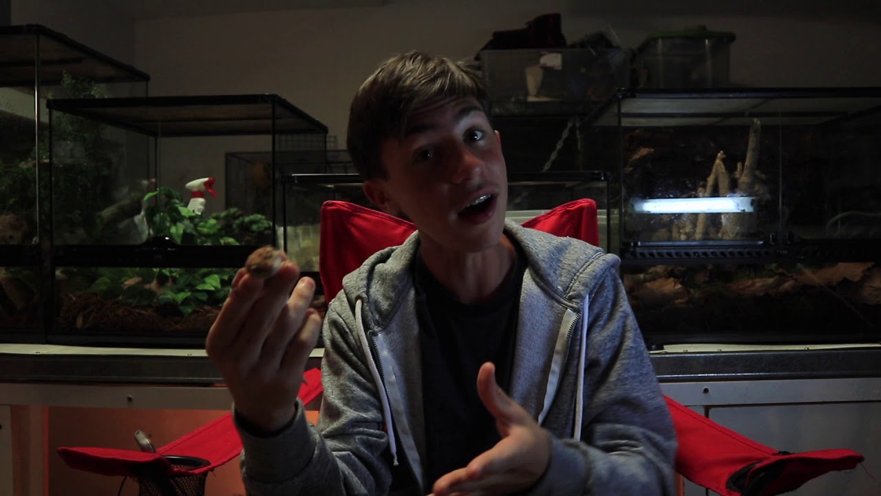 reptile care app Reptile RANTS! | MOS REPTILES
