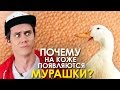 ПОЧЕМУ ВОЗНИКАЕТ ГУСИНАЯ КОЖА? - ТОПЛЕС