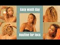 Easy Wash Day Routine for Locs