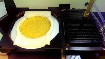 Automated Yeast Picking for Research and Development - Colony Picking - Lab Automation