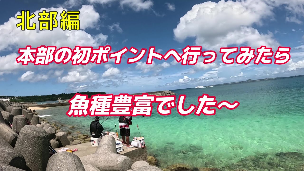 本部の初ポイントへ行ってみたら魚種豊富でした～！【沖縄釣り】