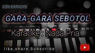 Gara  Gara Sebotol  Karaoke Nada Pria Vers dangdut Koplo Adella