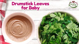 How to use Drumstick Leaves in Baby Foods | 6+ Months | Early Foods