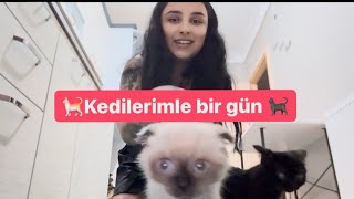 Kedi̇leri̇mle Bi̇r Gün 🐈