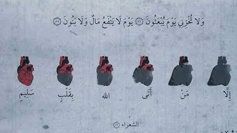 قصة صاحب الجنتين تلاوة خاشعة وتحبير مييز جداً