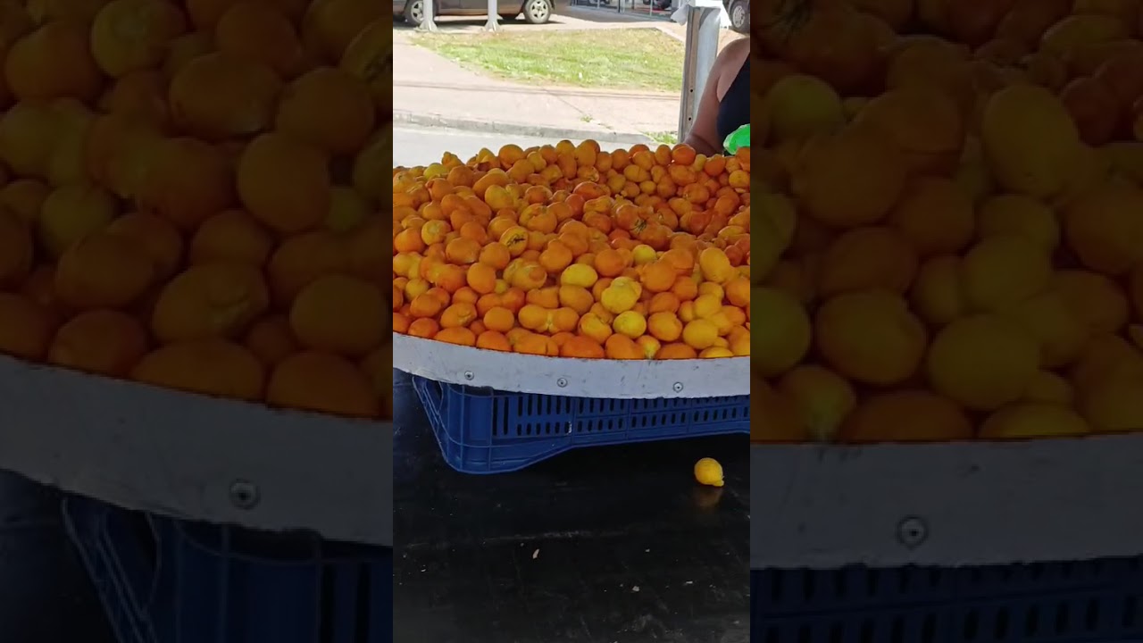 Garavelo em Movimento: Passeio na Av. Igualdade