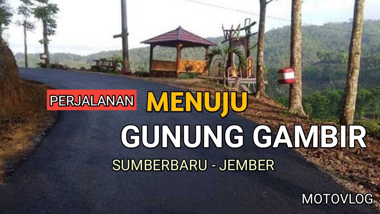 PERJALANAN MENUJU GUNUNG GAMBIR ‼️ WISATA ALAM KEBUN TEH KECAMATAN SUMBERBARU KABUPATEN JEMBER