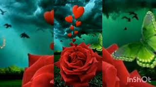 Beautiful relaxing music :Romantic music  to listening your heart