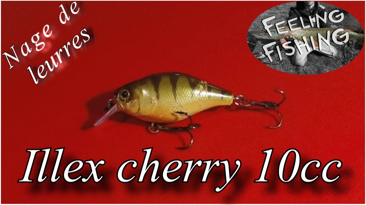 Leurre illex 2019 Clearance