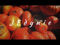 JEdynie - farma dyniowa | Cinematic video | GoPro Hero 7 Black