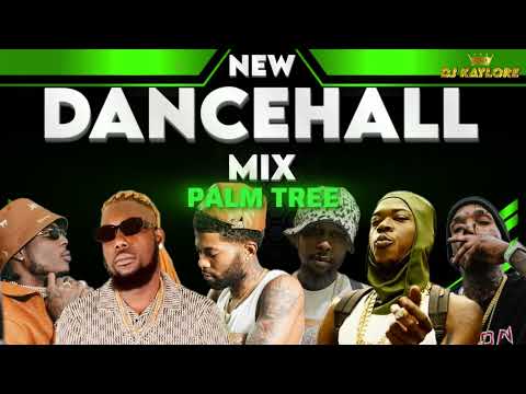 NEW DANCEHALL MIX 2026 SKIPPA, ALKALINE, DICELEBRITYY, VYBZ KARTEL, SKILLIBENG, MASICKA, POPCAAN,450