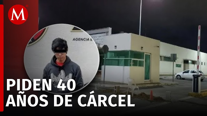 Abogado de Melanie da detalles del caso; pidieron 40 años de cárcel para Christian 'N'