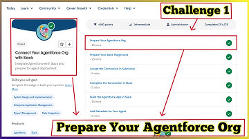 Prepare Your Agentforce Org | Connect Your Agentforce Org with Slack | Challenge 1