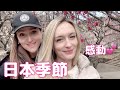[ 日本大好き ] ウクライナ人が季節の楽しみ方に感動 ・外国人の反応