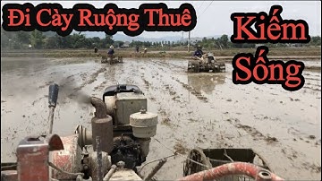 ANH TÂY NGUYÊN | Đi Cày Ruộng Cùng Ăn Bữa Cơm Đạm Bạc Cùng Với Những Người Nông Dân | Daily Life